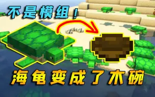 我的世界：海龟被雷劈中后，龟壳竟变成了碗？