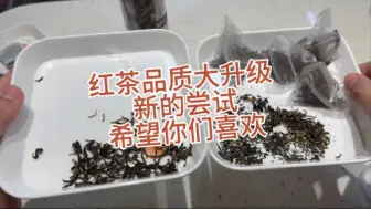 红茶品质大升级解析 看看哪些变化  丰俭由人 今晚9点上线 希望你们喜欢