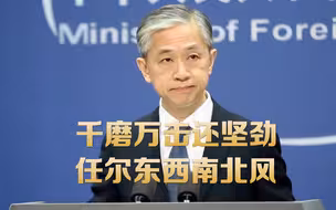 汪文斌：中国坚决拒绝霸凌和不公