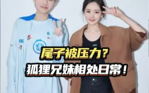 狐狸兄妹相处日常！
