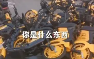 河南三门峡几名年轻人沿途踢倒一路单车，路人劝阻反被骂