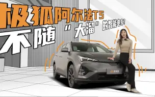 极狐阿尔法T5静态体验，这就是不随“大溜”的智能电车？