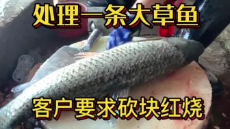 处理一条大草鱼客户要求砍块红烧