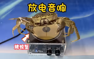 能放电的音响，真能把螃蟹烤熟吗？