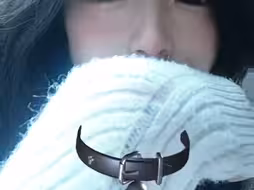 想要狗狗……