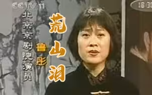 “赵守贞专业户”鲁彤老师的荒山泪夜织