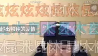 经典山泥若