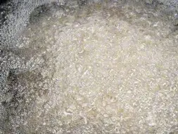 原来海南人的食用油是这么来的# 椰子# 椰子油
