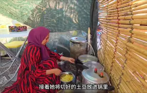 阿米尔一家继续建造新房