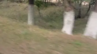 路边的风景