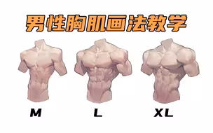 男性胸肌画法，来自大自然的馈赠【自在涂形堂|绘画干货】