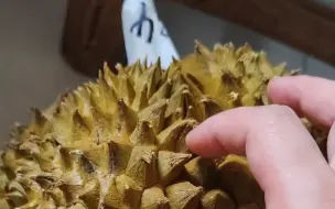 家人们，这个榴莲是不是个死包，总感觉不对劲。