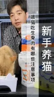 喂猫吃生骨肉有哪些注意事项（B114）
