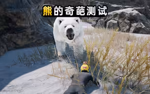 【小贝】趴下装死，熊就不攻击玩家了？我们还用车把熊拐跑了？