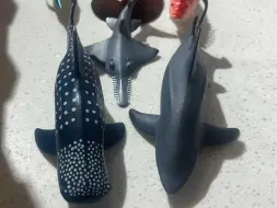软胶海洋动物套装