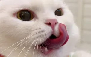 可算让我抓住了！