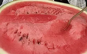 【乔妹】水果局合集 脆柿、柚子、苹果、橘子橙子、猕猴桃、芒果、青提、油桃、西瓜