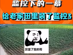 给老家田里装了监控