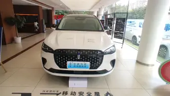 林肯冒险家 2024款 1.5T 两驱尊雅混动版，详细视频