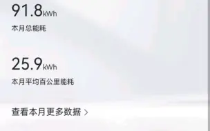 “帕拉梅拉”首次行驶一千公里记录