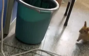 嗖的一下