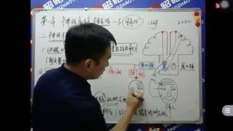 【执医知识碎片】-面神经核单双侧支配，周围性面瘫（核下瘫）及中枢性面瘫（核上瘫）的详细讲解