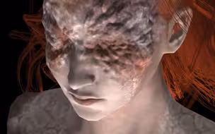 【4K】【艾尔登法环】马莲妮娅去衣躯体
