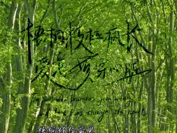 又是一年夏天，梧桐枝桠疯长，爱意贯穿心脏。