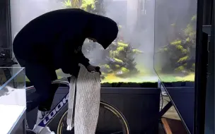 打造沉浸式雨林房间1.0