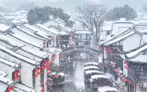 一定要来苏州，看看大雪纷飞的江南