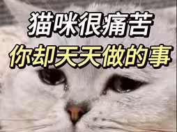 10个养猫人9个都做错了