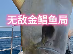 坐船出海钓鱼看看能不能回本呀