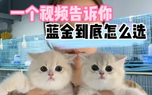 蓝金怎么选？你的是真蓝金吗！
