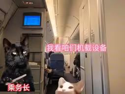 江浙沪白金卡们驾到！统统闪开！！！