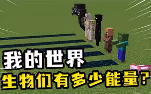 我的世界：所有生物的能量都在这里，就不信你都知道！快来看看吧