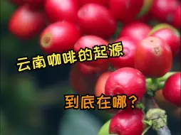 云南咖啡的起源是什么?这篇年刊的文章能告诉你