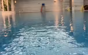出水馒头