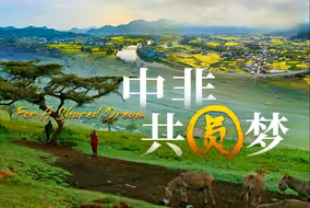微视频｜中非共圆梦