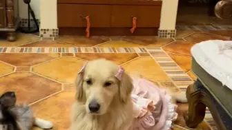 奶奶的吐槽……