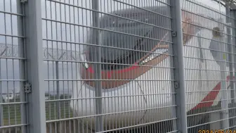 广州地铁 22 号线列车（22x007-22x008）万顷沙车辆段试车