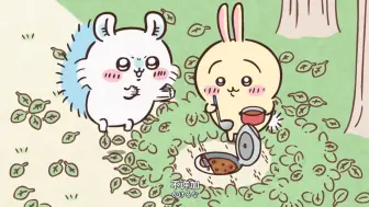 飞鼠是entp吗，哈哈哈