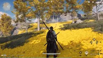 燕云十六声黄色落叶场景
