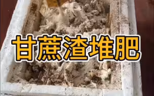 甘蔗渣再利用：为地球减负，为生活添彩
