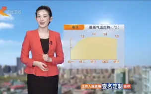 河北天气丁蕊2024 0209