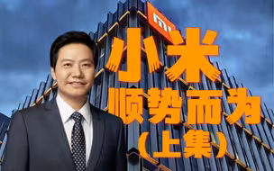 【大公司】｜关于小米你需要知道的一切，雷军如何创造小米的？（上集）