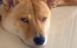 整理一下最近的照片