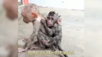 被生活锤了N次，才会明白，你品你细品，不要骂我不救他们，因为我也救不了