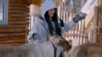 珠宝大亨嫌弃女方只是瑜伽老师，前期恩爱，后期却在权衡利弊…