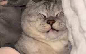 好暖的大壮