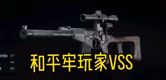 原版vss